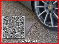 wombat color chip sample